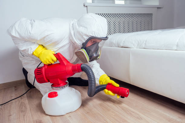 Best Flea Control Services  in Galena, OH