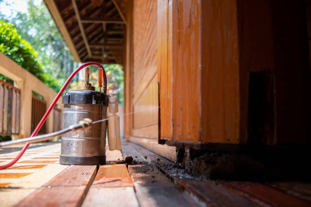 Best Affordable Exterminators  in Galena, OH